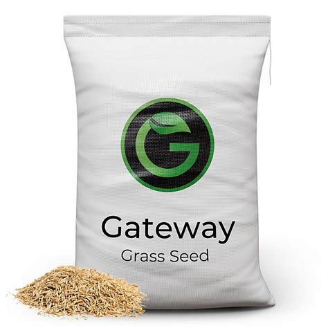 Horse Paddock Grass Seeds - Fast Growing Grass Seed for Repairs on Pastures & Gateways - Ultra ...