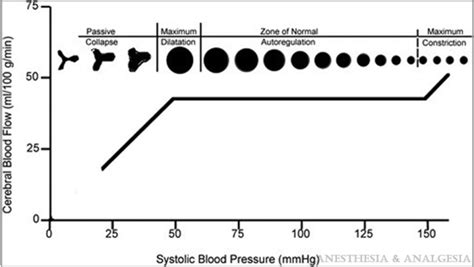 Cerebral Autoregulation - OpenAnesthesia