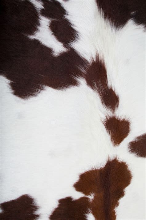 Aggregate more than 77 cow hide wallpaper - in.cdgdbentre