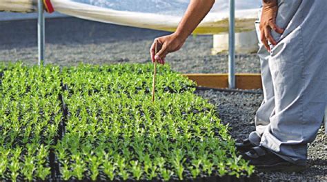 Agrochemical industry: Growing by leaps and bounds - The Statesman