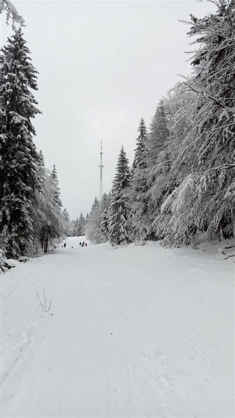 The Bavaria Winter Wonderland Stock Photo - Image of frost, bavaria ...