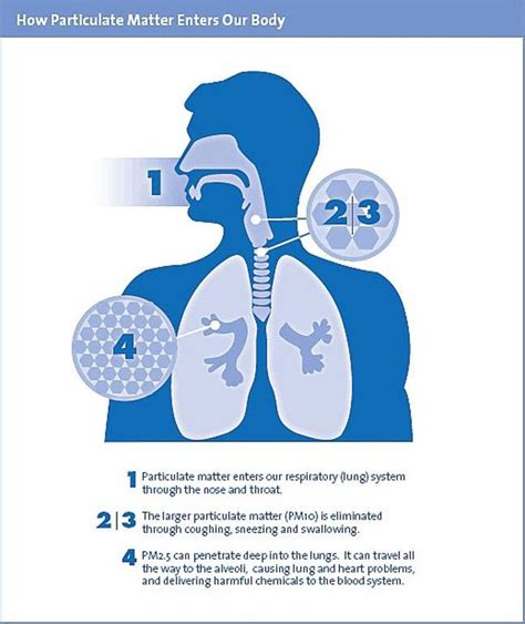 Health Alert: Poor air quality in Delhi is causing you more harm than you can ever imagine ...