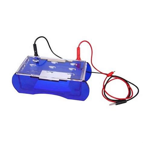 Gel Electrophoresis Tank at best price in Pune by Xitij Instruments Private Limited | ID: 3686292097