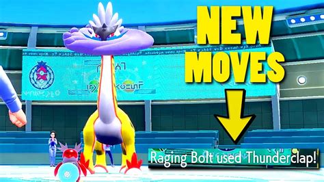 Why Raging Bolt Is Even Better Than We Thought... - YouTube