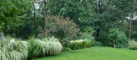 Landscape Design & Maintenance Tips for NJ Homeowners