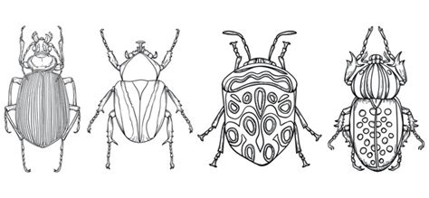 Beetle Bean: Over 112 Royalty-Free Licensable Stock Illustrations ...