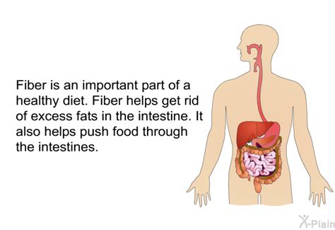 PatEdu.com : Dietary Fiber