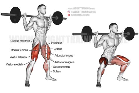 Sumo Squats Vs Regular Squats