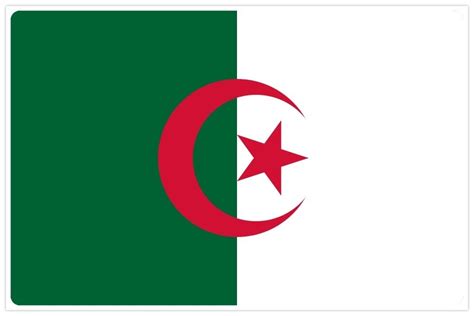 Flag of Algeria - علم الجزائر - NationalFlags.shop - your Flag webshop