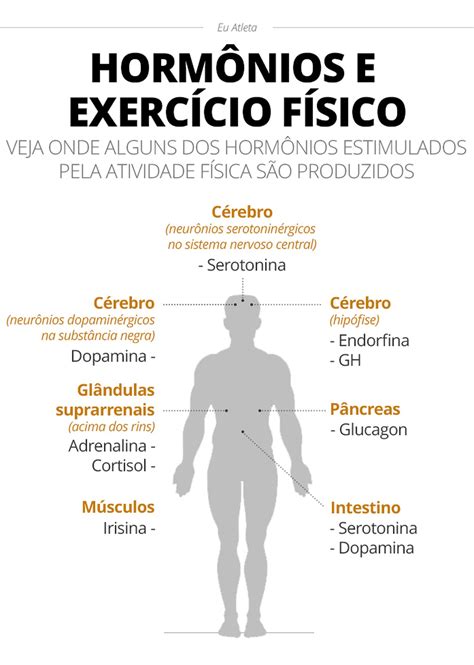 O que acontece no corpo quando fazemos exercício físico? | saúde | ge