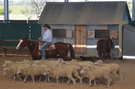 Longreach Qld. Stockman's Hall Of Fame Live Show With Lach… | Flickr