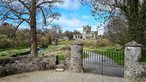 Tintern Abbey - 100 Million Trees Project