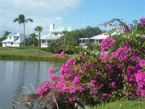 The Dunes ,Golfcourse on Sanibel Island #travel #Florida #smileshare ...