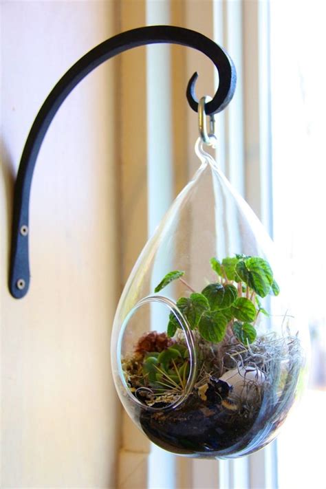 Creating A DIY Hanging Terrarium | Hanging terrarium, Hanging terrarium diy, Beautiful terrariums