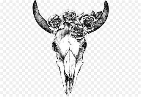 Free Longhorn Skull Silhouette, Download Free Longhorn Skull Silhouette png images, Free ...