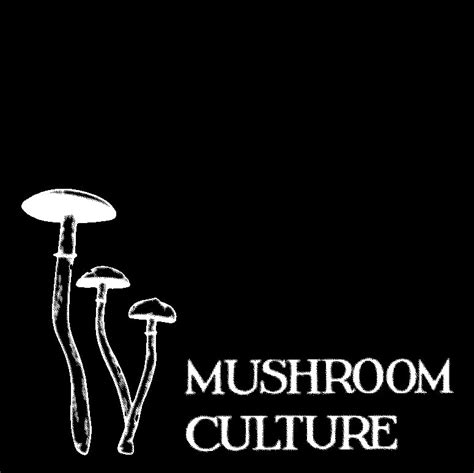 This is Mushroom Culture | Mushroom Culture