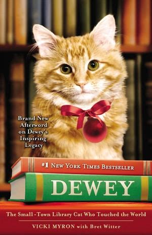 Dewey the Library Cat – DoodleCats