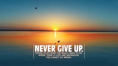 Download Never Give Up Sunset Wallpaper | Wallpapers.com