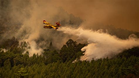 Tenerife wildfire: Thousands evacuated as fires tear through Spanish island | CNN