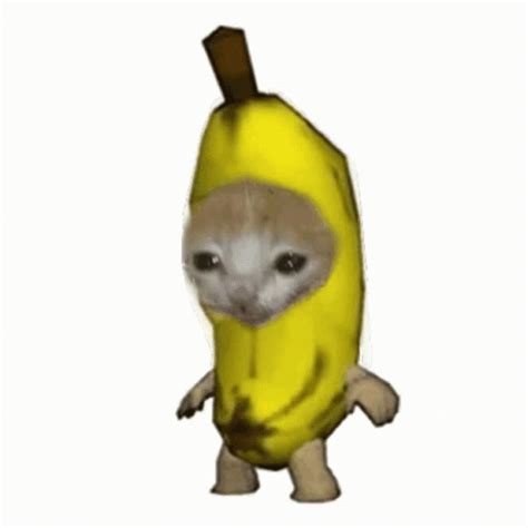 Banana Cat GIF – Banana Cat – Ищите GIF-файлы и обменивайтесь ими | 고양이 그림, 영감을 주는 캐릭터, 웃긴 밈