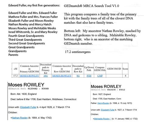 Edward Fuller, Mayflower Passenger DNA Matches