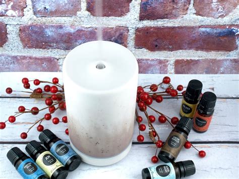 Edens Garden | Ceramic Ultrasonic Diffuser & Synergy Blends: Review