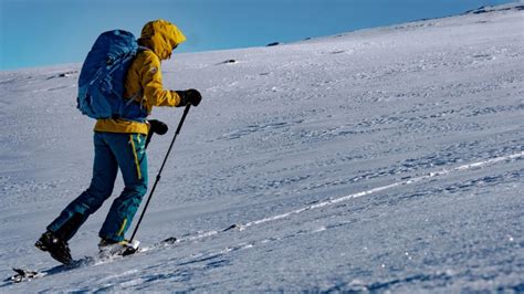 What are the 8 Different Types of Skiing? | SnowSunSee