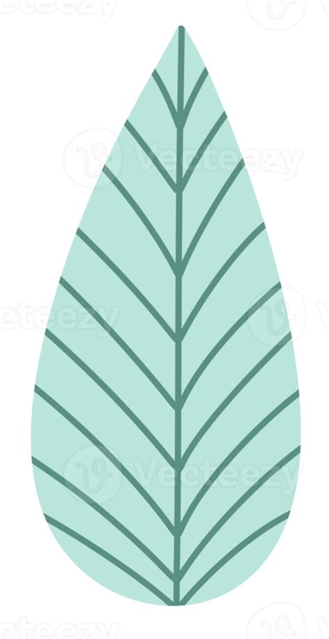 Pastel Green Tropical leaves icon 18818985 PNG