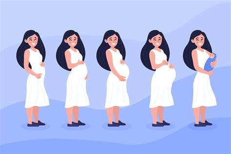 Premium Vector | Pregnancy stages illustration concept