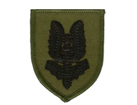 SAS Beret Badge Subdued