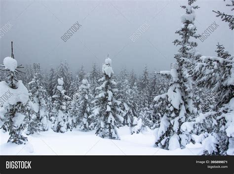 Winter Panorama Image & Photo (Free Trial) | Bigstock