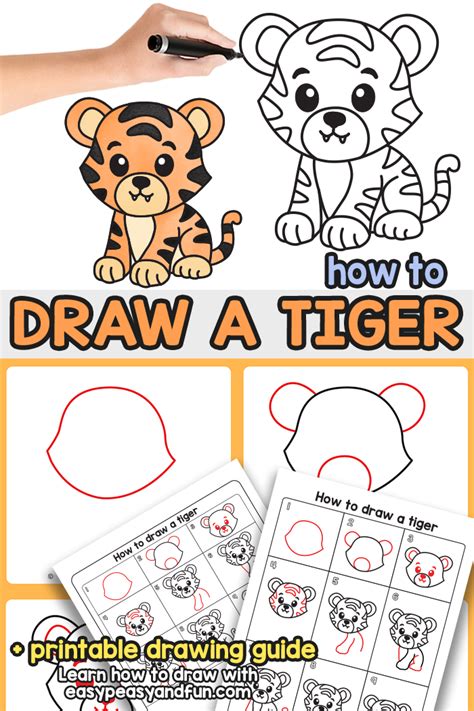 Tiger Drawing Step By Step