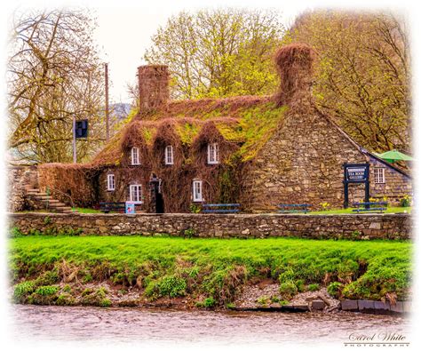 The Tea Room,Llanrwst,North Wales by carol white · 365 Project