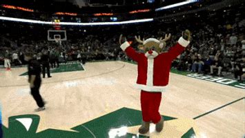 Regular Season Sport GIF by NBA