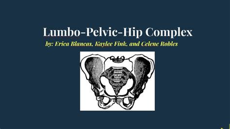 Lumbo-Pelvic-Hip Complex by Celene Robles on Prezi