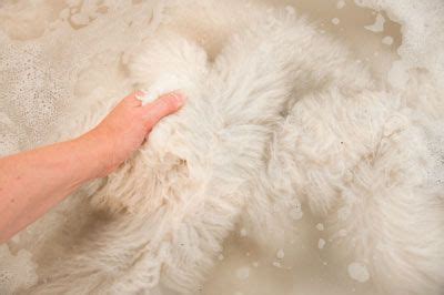 How to wash a sheepskin rug | Tips and care info for sheepskins | Sheepskin rug, Sheepskin ...