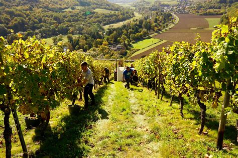 Wine Tasting in Germany: a tour of the Nahe and Rheinhessen