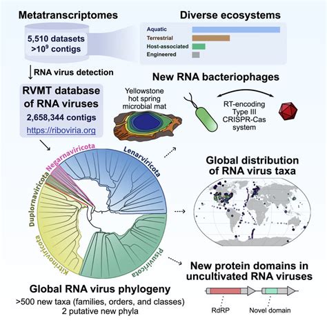 Biologists Discover Over 100,000 New Types of RNA Viruses | Sci.News