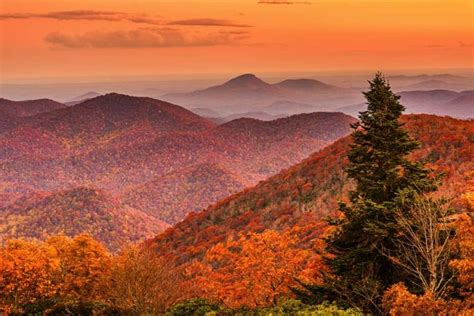 Fall Colors in Georgia 2024: When and Where To Get the Best Views