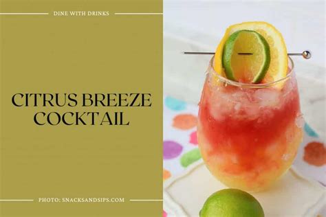 35 Citrus Vodka Cocktails to Sip and Savor All Summer Long | DineWithDrinks