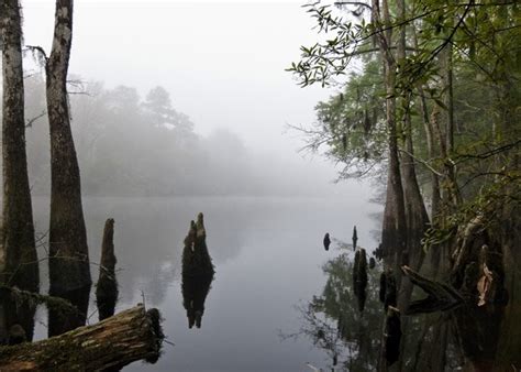 Little Pee Dee River - SC Picture Project