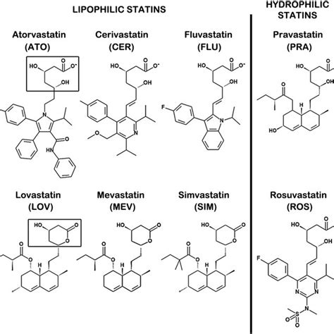 Statin chemical structures. The statins used in this study can be... | Download Scientific Diagram