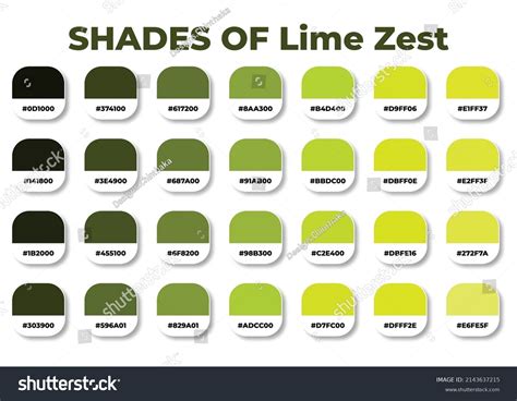 2,490 Lime Color Palette Images, Stock Photos & Vectors | Shutterstock