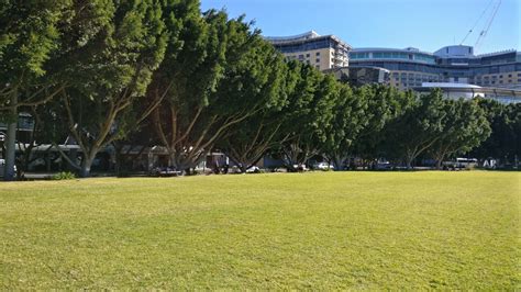 Pyrmont Bay Park | Sydney New Year's Eve