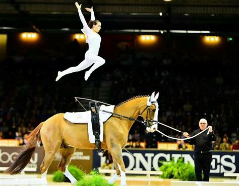 178 best Equestrian Vaulting images on Pinterest