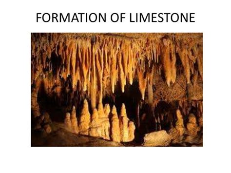 2 formation of limestone