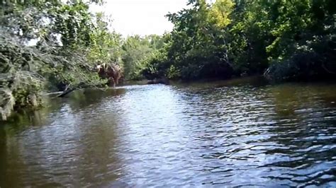 A day on the Indian River in Florida - YouTube