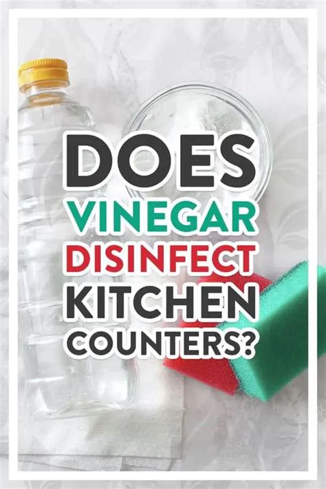 Does Vinegar Disinfect Kitchen Counters? What You NEED to Know | Shiny ...