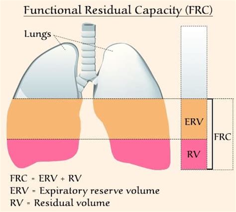 Functional Residual Capacity - What All You Need To Know