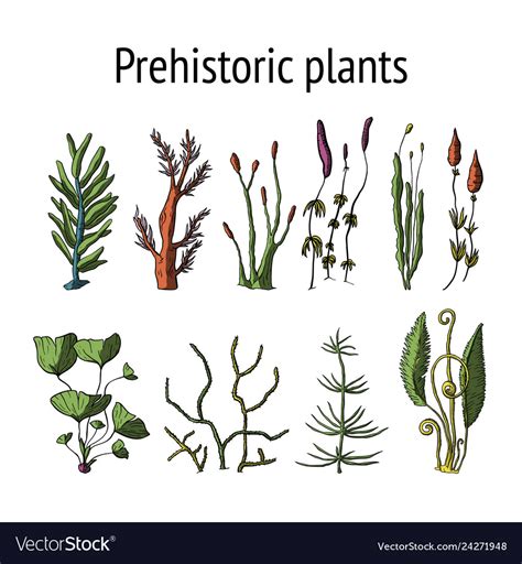 Prehistoric plants Royalty Free Vector Image - VectorStock